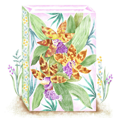 orange-orchid-tropical-jpeg