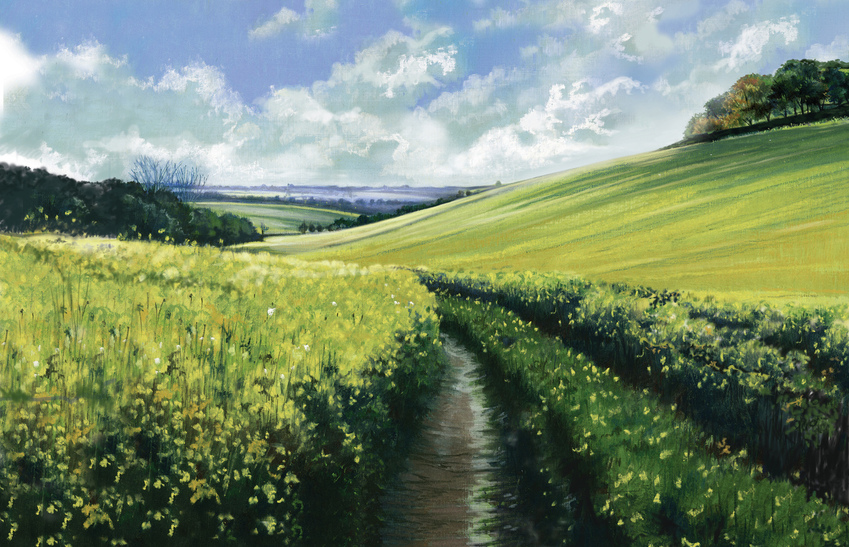 Big Yellow Field sml.jpg