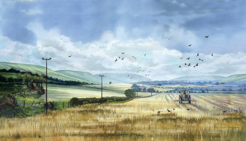 Big Tractor field sml.jpg