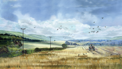 big-tractor-field-sml-jpg