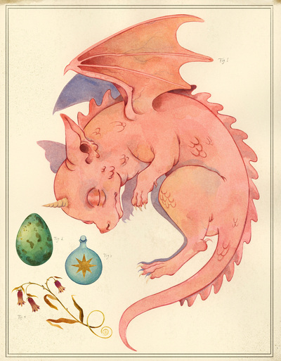 eglantine-dragon-study