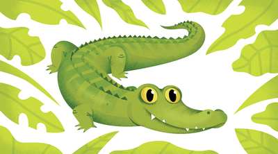 crocodile-jpg-13