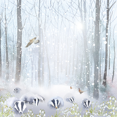 winter-badgers-jpg