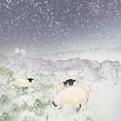 winter-sheep-jpg-1