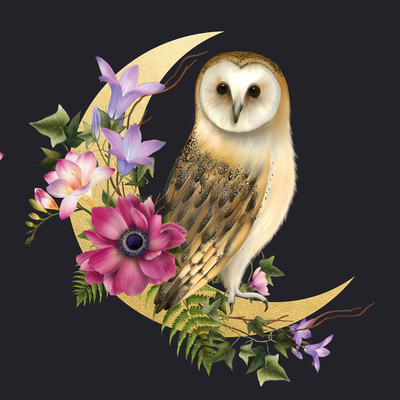 ammended-owl-d-opt4-jpg
