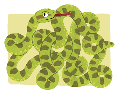 anaconda-jpg