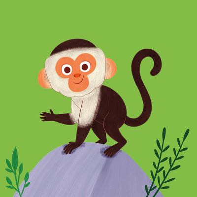 capuchin-monkey-memory-match-game-noah-s-ark