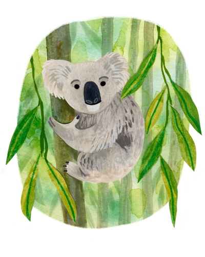 anasabinadys-koala-jpg