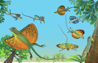 flying-lizards-jpg