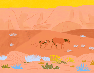 horses-desert-canyon-png