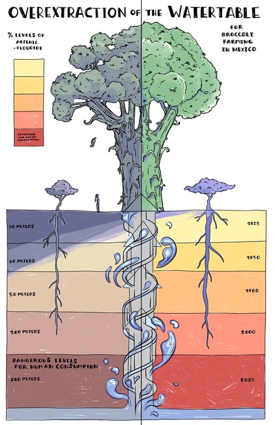copy-of-broccoli-farming-infographic-jpg