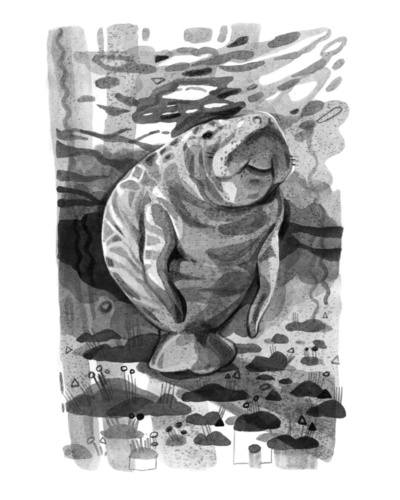 dugong