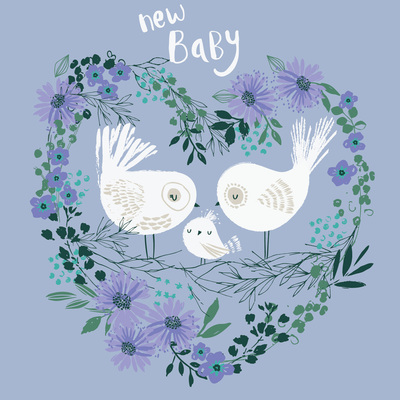 hb-420-new-baby-jpg