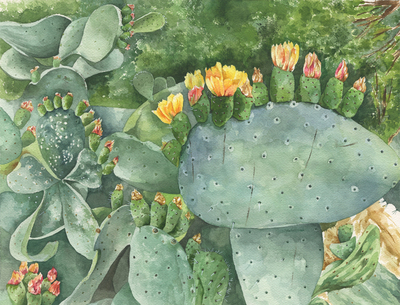 desert-cactus-jpg